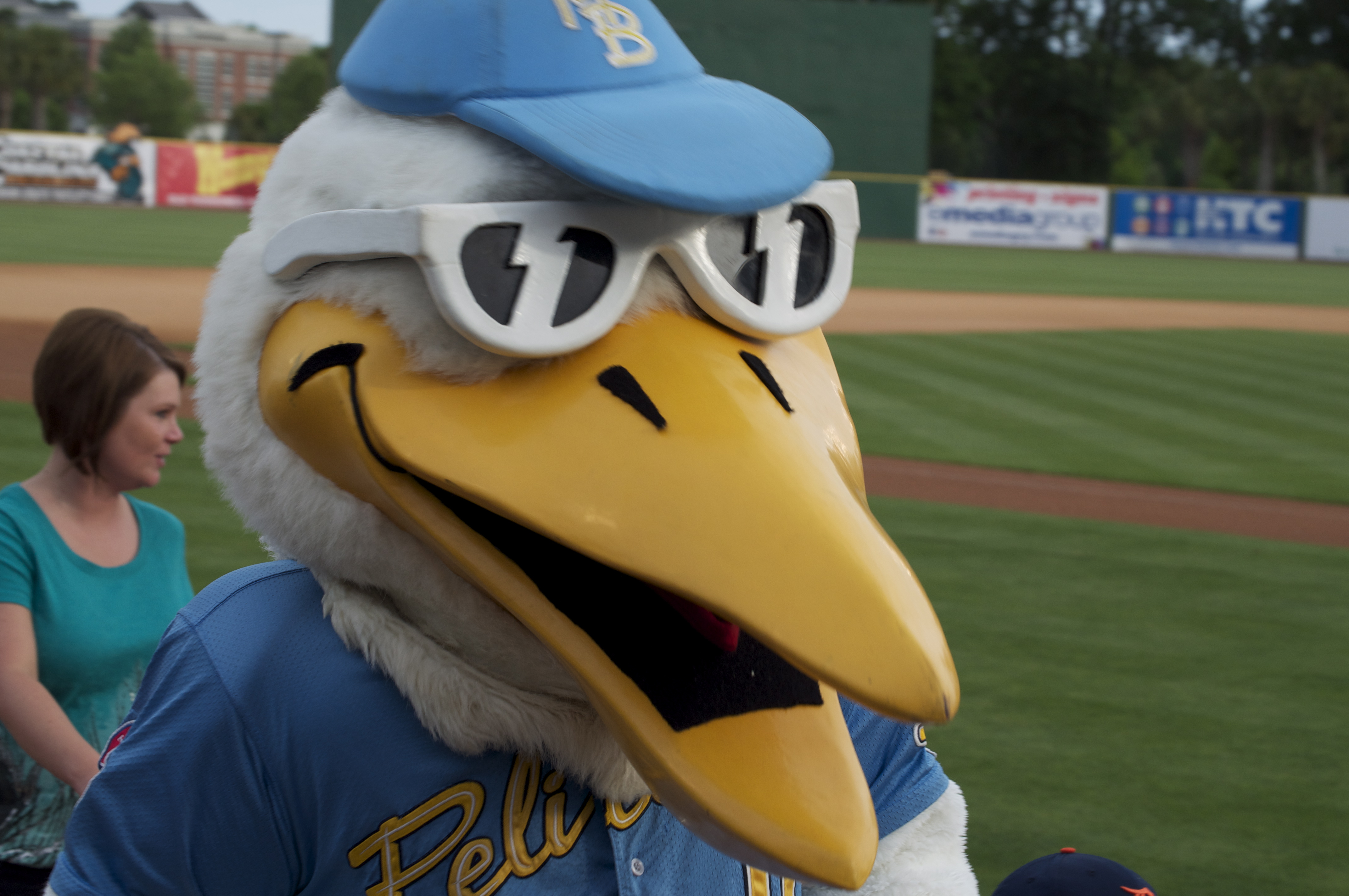 Splash, the Myrtle Beach Pelicans' mascot