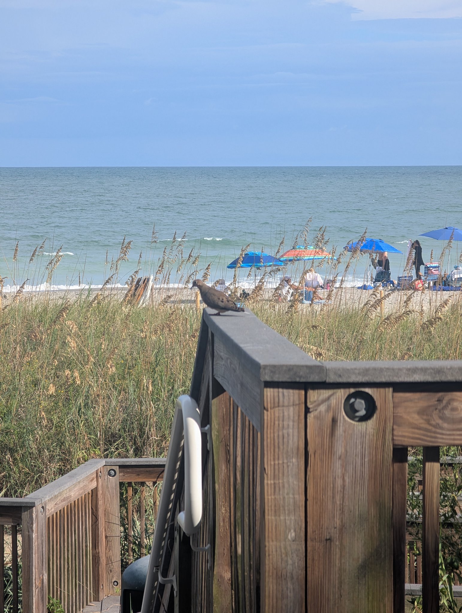 Boardwalk umbrellas