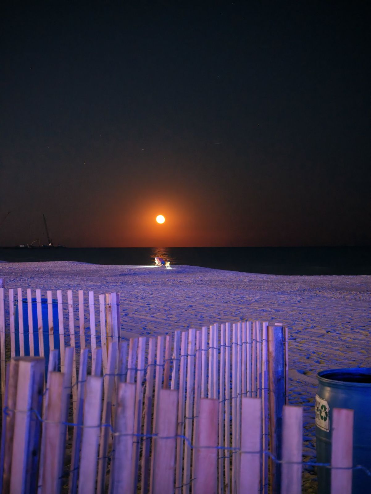 Dune fence at moonrise