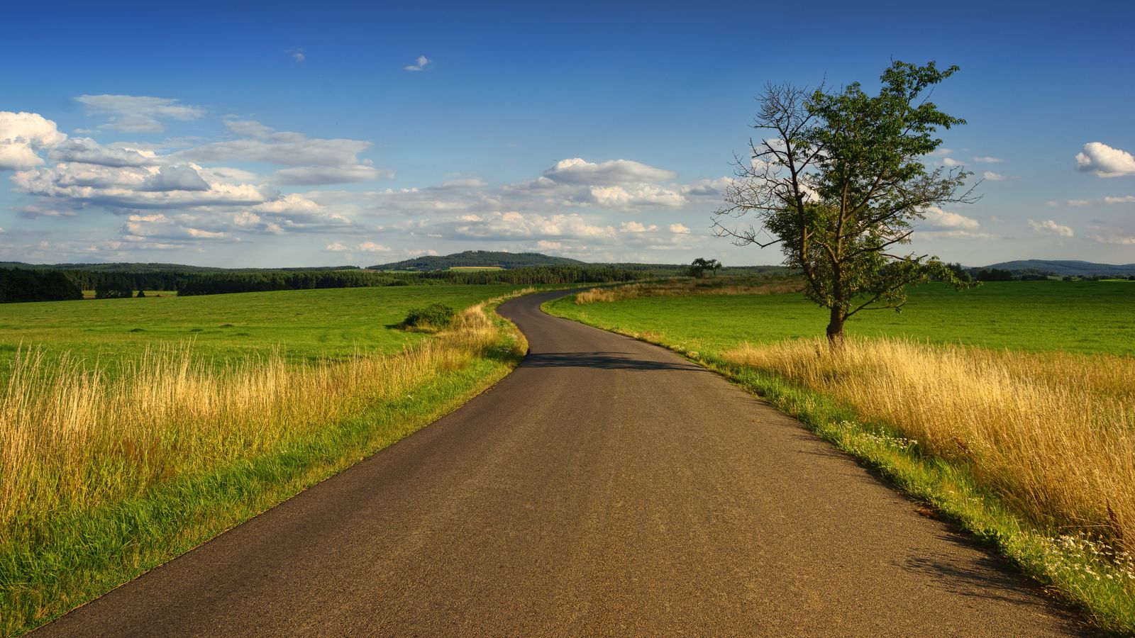 A curving two-lane road through open farmland